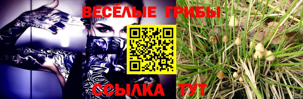 Псилоцибиновые грибы прущие грибы Канаш