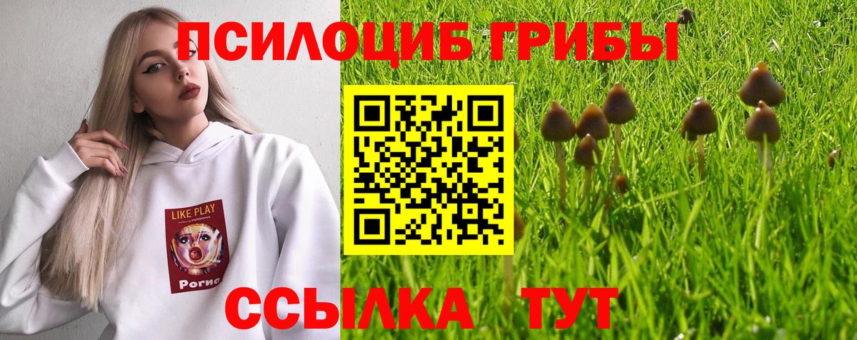 Канаш  Галлюциногенные грибы мицелий  Вход с VPN 